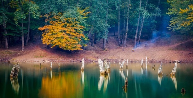 معرفی مناطق بکر ایران برای سفر در بهار