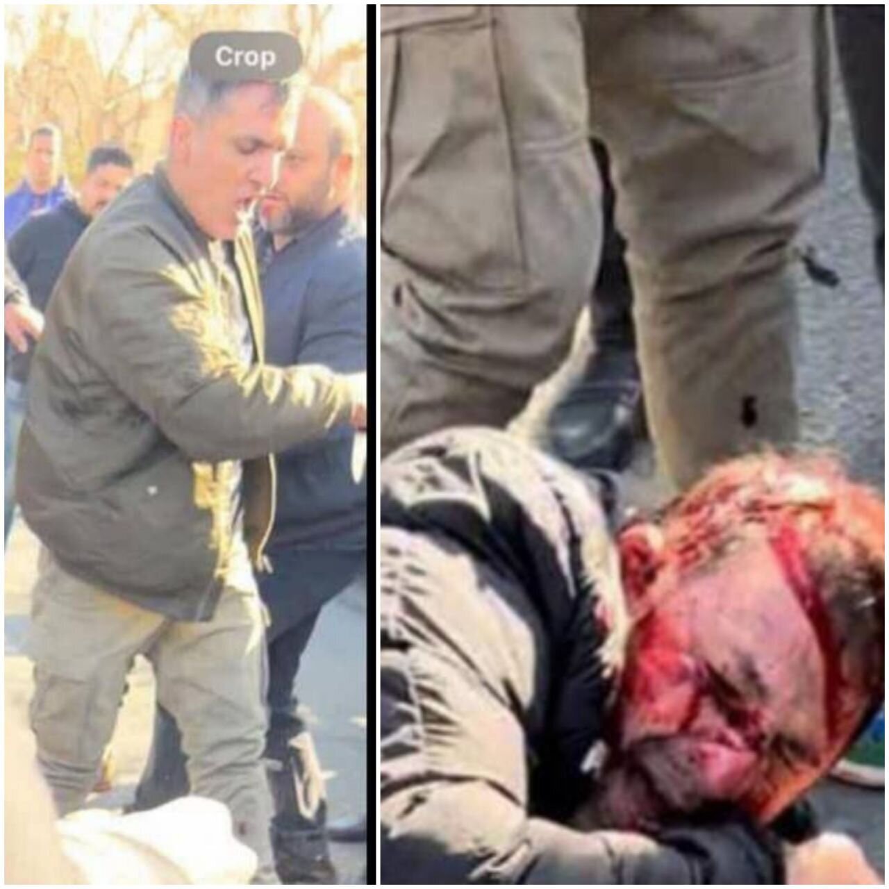 تیر خوردن هانی کرده