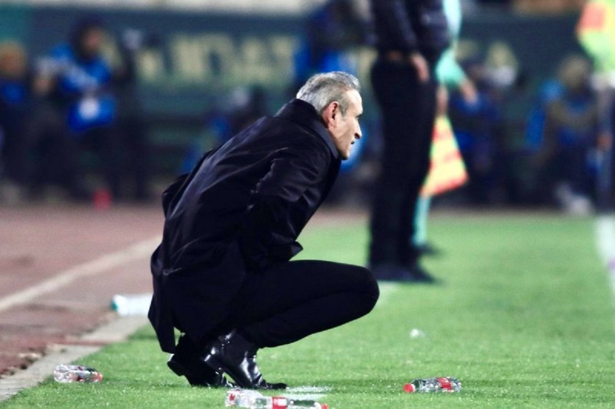 گل محمدی گل محمدی