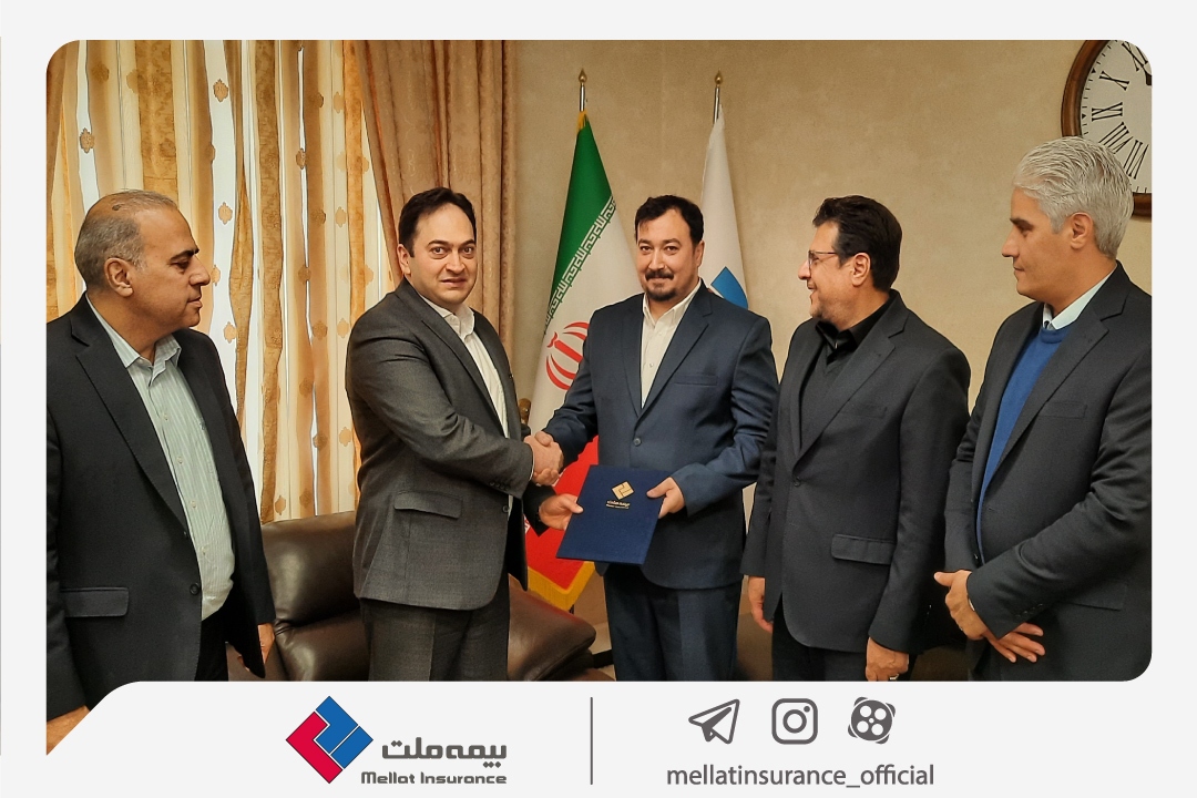 سرپرست معاونت سرمایه انسانی و پشتیبانی بیمه ملت معرفی شد سرپرست معاونت سرمایه انسانی و پشتیبانی بیمه ملت معرفی شد