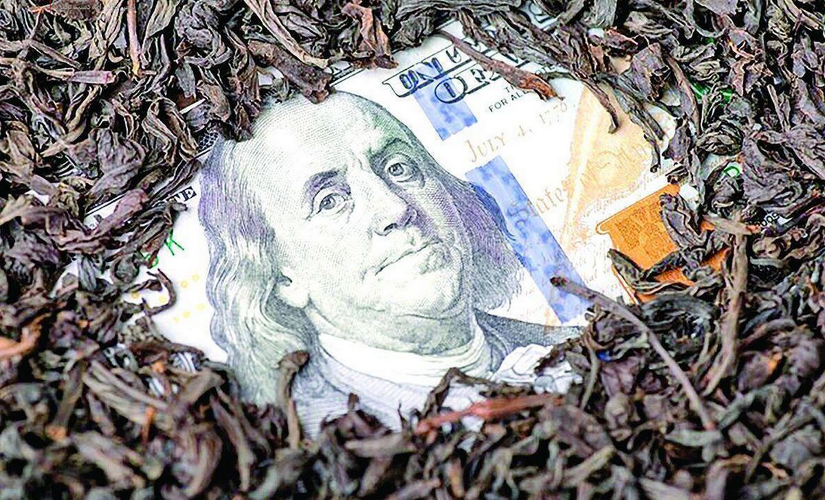 روزنامه جمهوری اسلامی: سکوتِ معنادار در مقابل فساد چای دبش؛ فاسد‌ها از مسئولیت‌شان کنار بروند