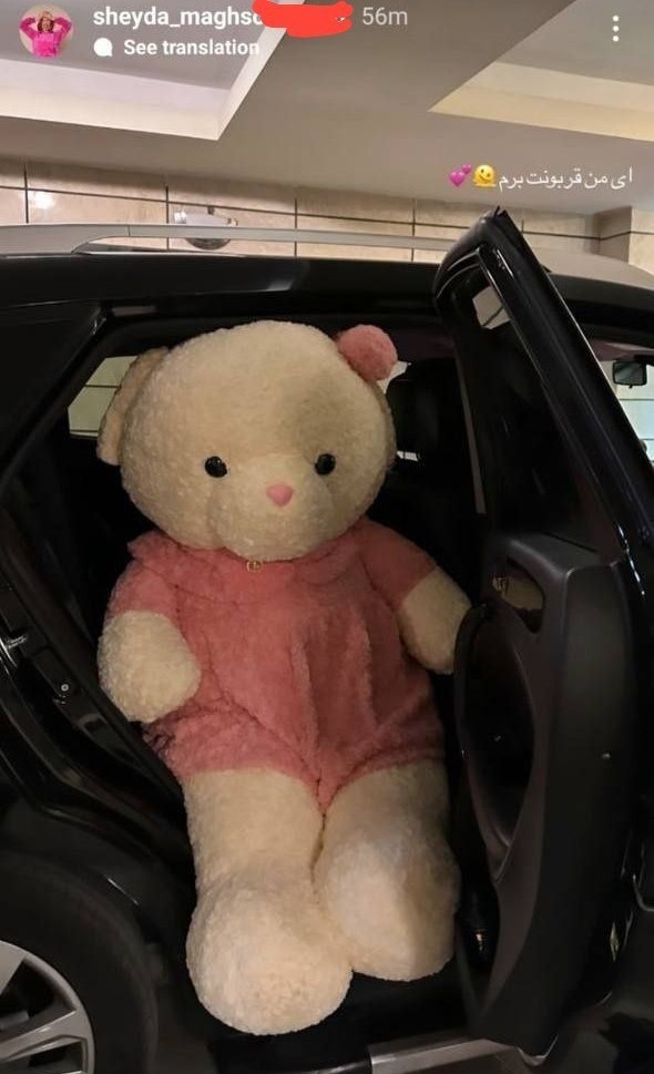 شیدا مقصودلو کیست؟ شیدا مقصودلو کیست؟