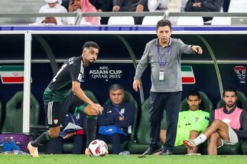 امیر قلعه نویی