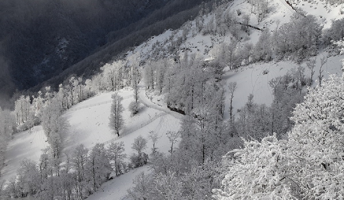 چهره برفی کوهستان چالوس