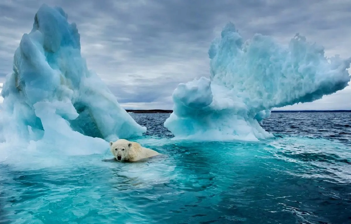 گرم شدن زمین