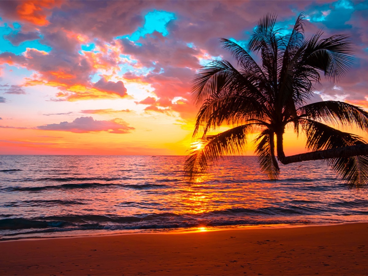 بهترین جاذبه‌های گردشگری بوشهر