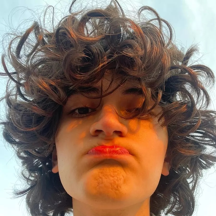 وینی ویدز یوتیوبر کیست؟ وینی ویدز یوتیوبر کیست؟