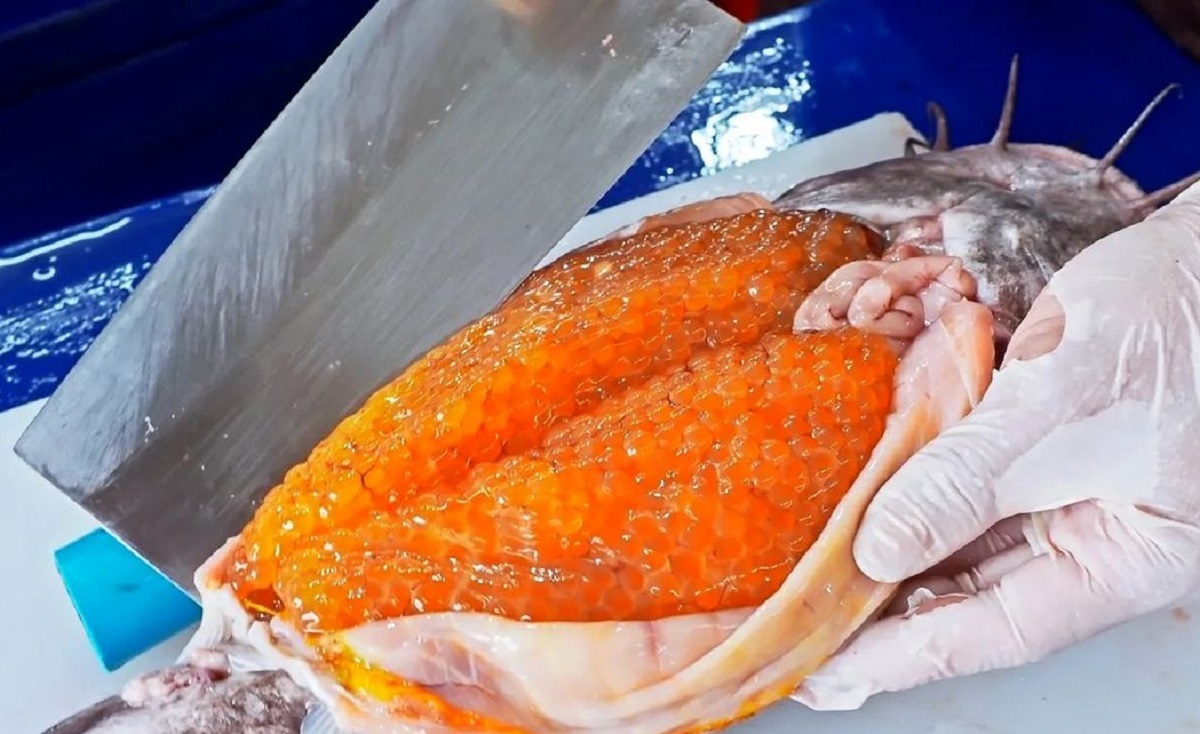 غذای خیابانی غذای خیابانی