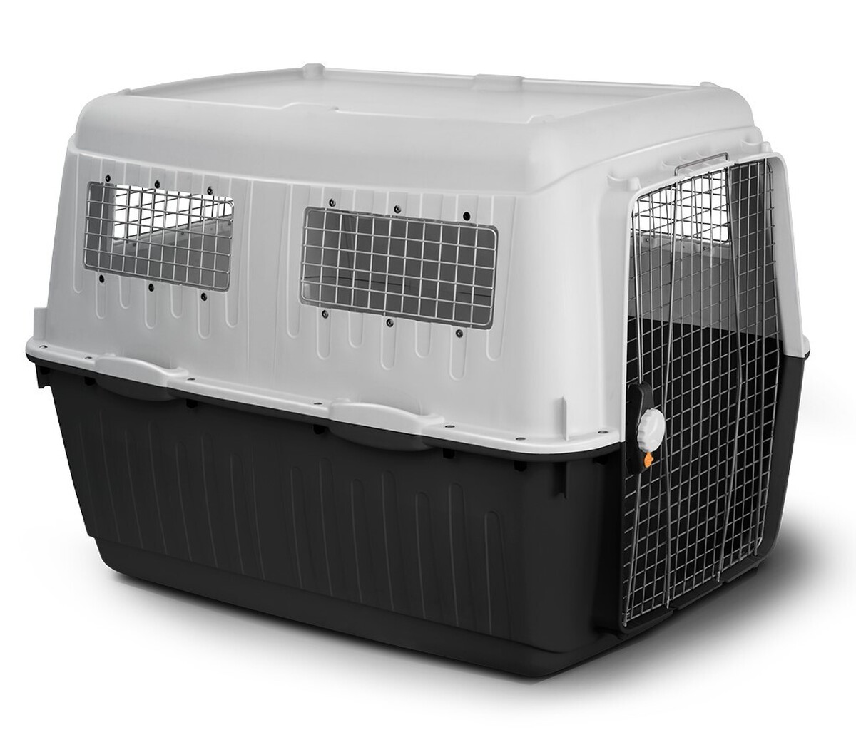 محبوب ترین باکس سگ چیست؟ محبوب ترین باکس سگ چیست؟