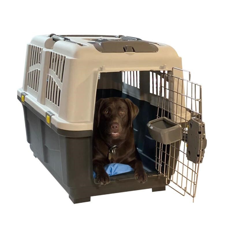 محبوب ترین باکس سگ چیست؟ محبوب ترین باکس سگ چیست؟