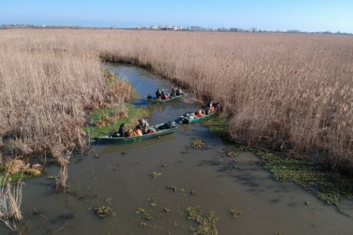 یک پژوهش علمی: تالاب انزلی تا ۳۵ سال دیگر خشک شود