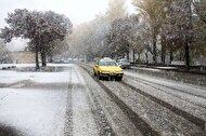 ویدیو جدید و زیبا از بارش برف در تهران