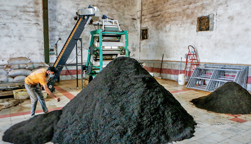 فساد اقتصاد چای دبش