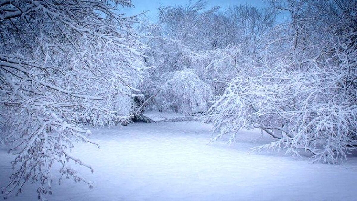 حجم بارش برف در مناطق نیاوران و سعادت آباد