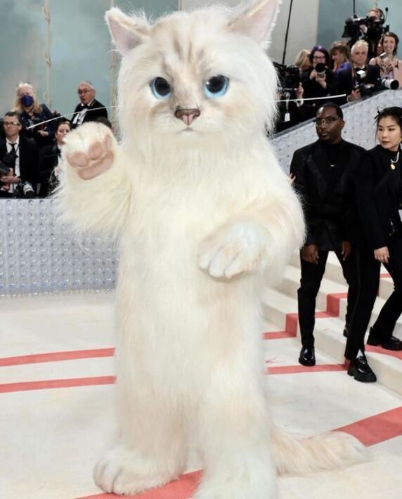 مراسم مت گالا ۲۰۲۳