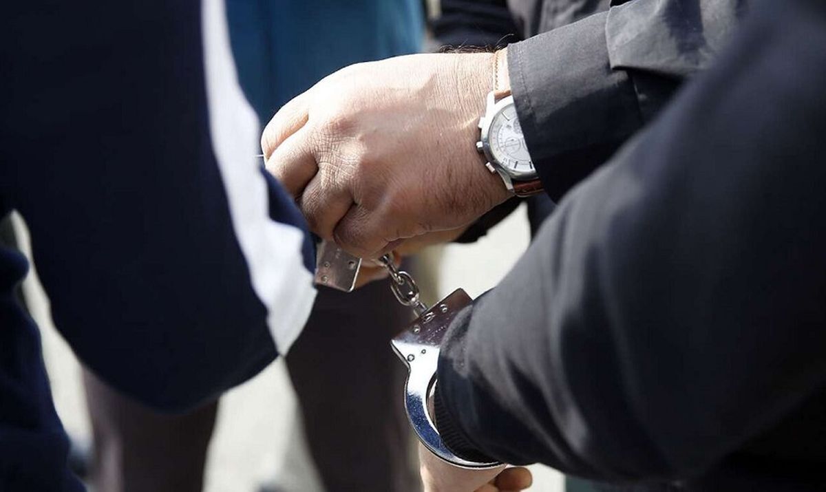 جزئیات بازداشت دو مدیر محیط زیستی از زبان سخنگوی دولت