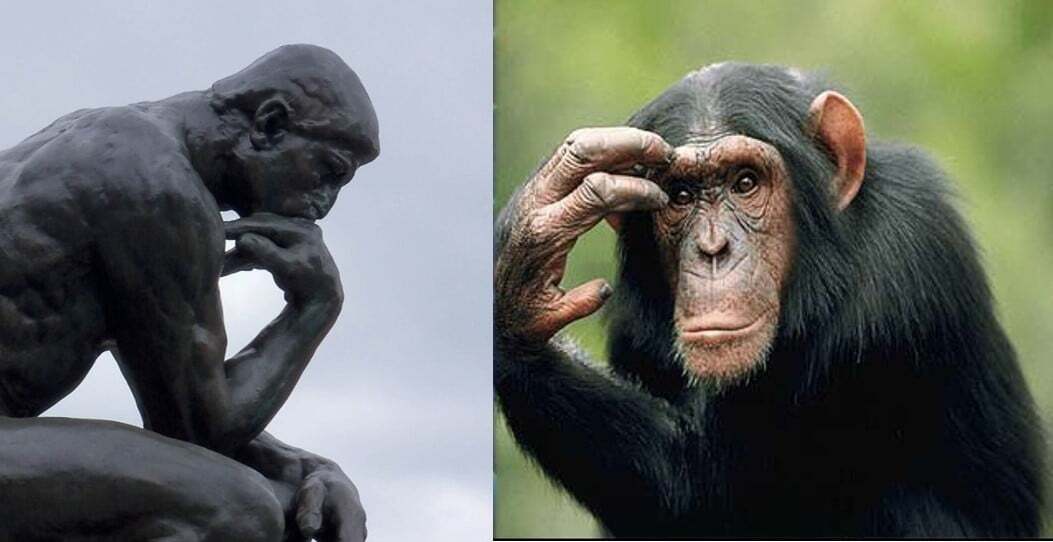 تفاوت انسان و حیوان تفاوت انسان و حیوان