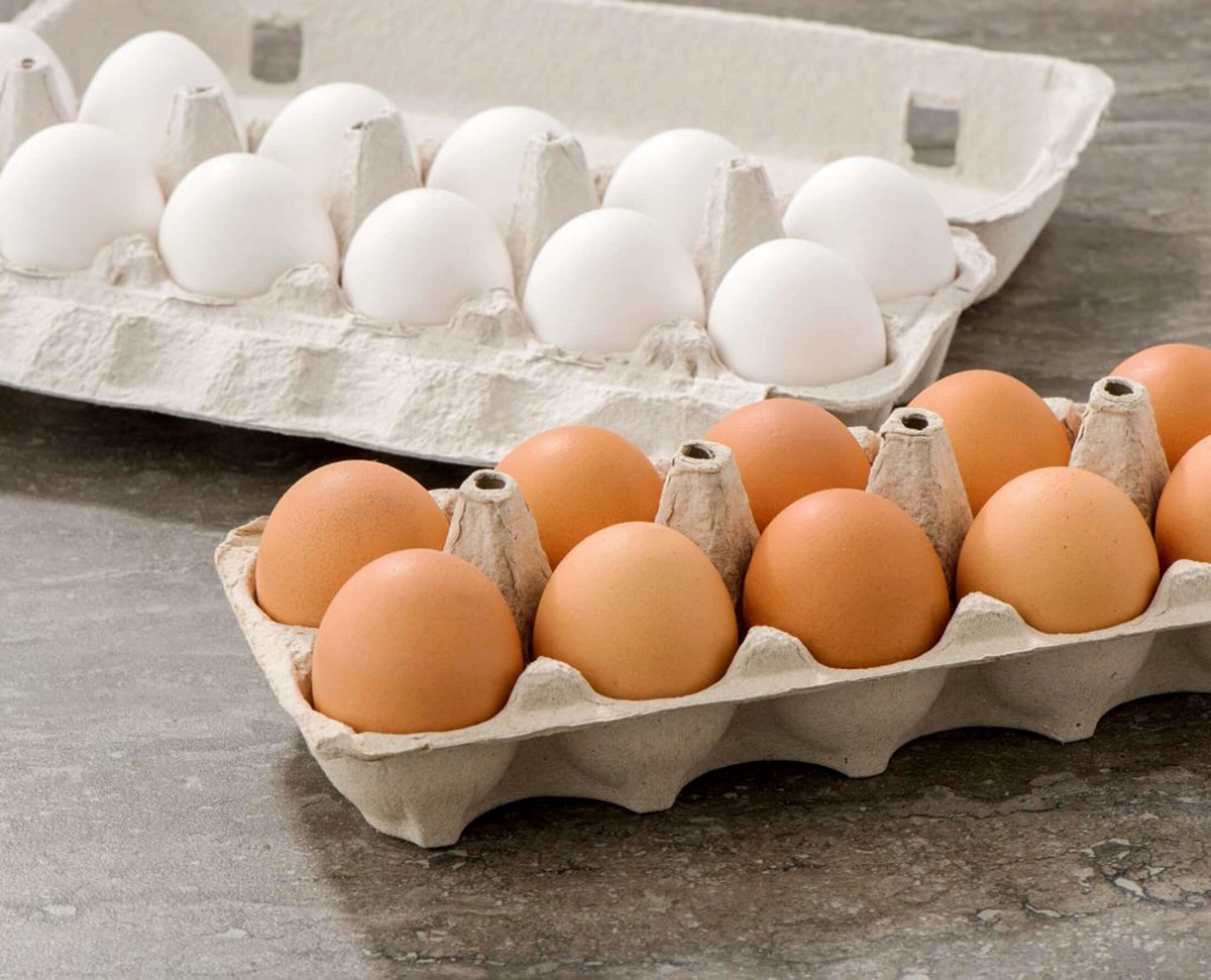 اتحادیه مرغداران: قیمت تخم مرغ بسیار ناچیز است