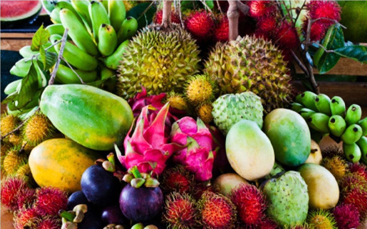 میوههای استوایی را بشناسید میوههای استوایی را بشناسید