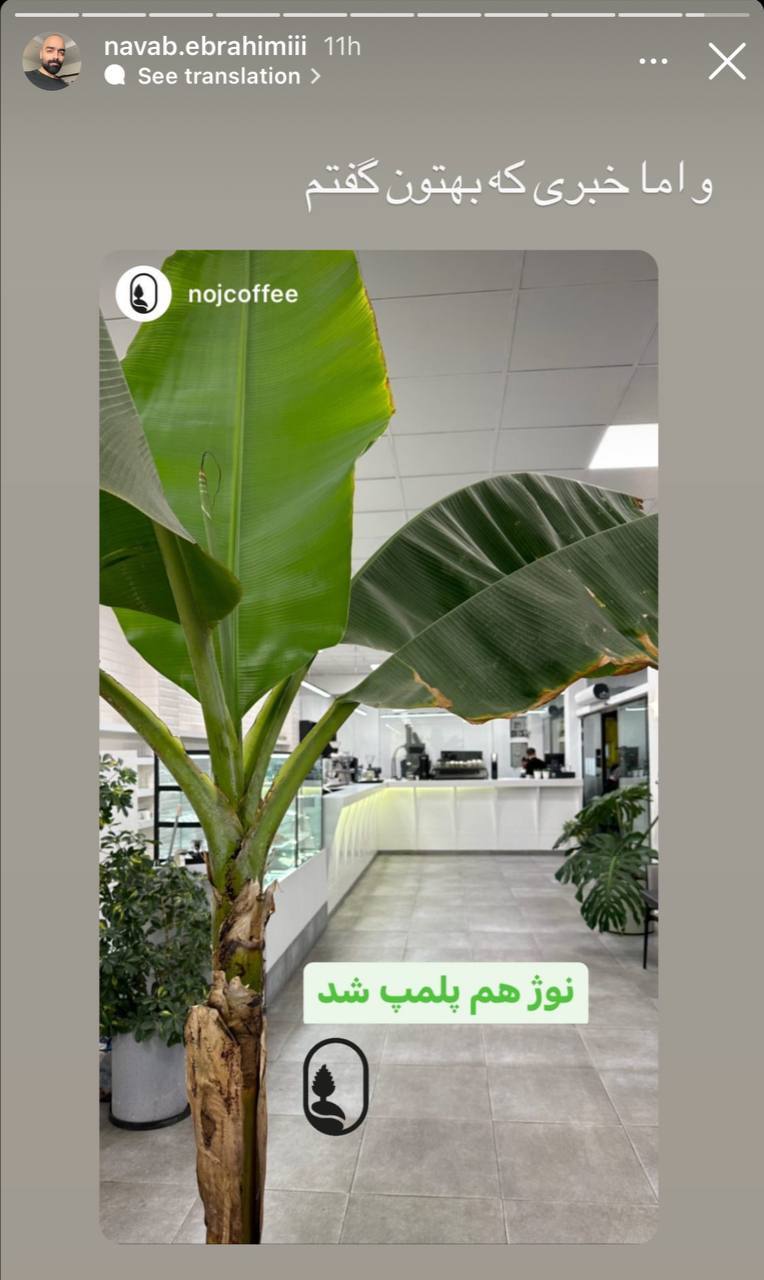 کافه رستوران جنجالی نواب ابراهیمی پلپ شد کافه رستوران جنجالی نواب ابراهیمی پلپ شد