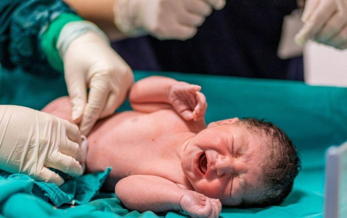 فیلم بانکهای خصوصی وام فرزندآوری را بایکوت کردند فیلم بانکهای خصوصی وام فرزندآوری را بایکوت کردند