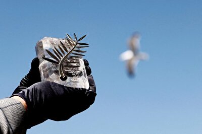 فرش قرمز جشنواره فیلم کن۲۰۲۳