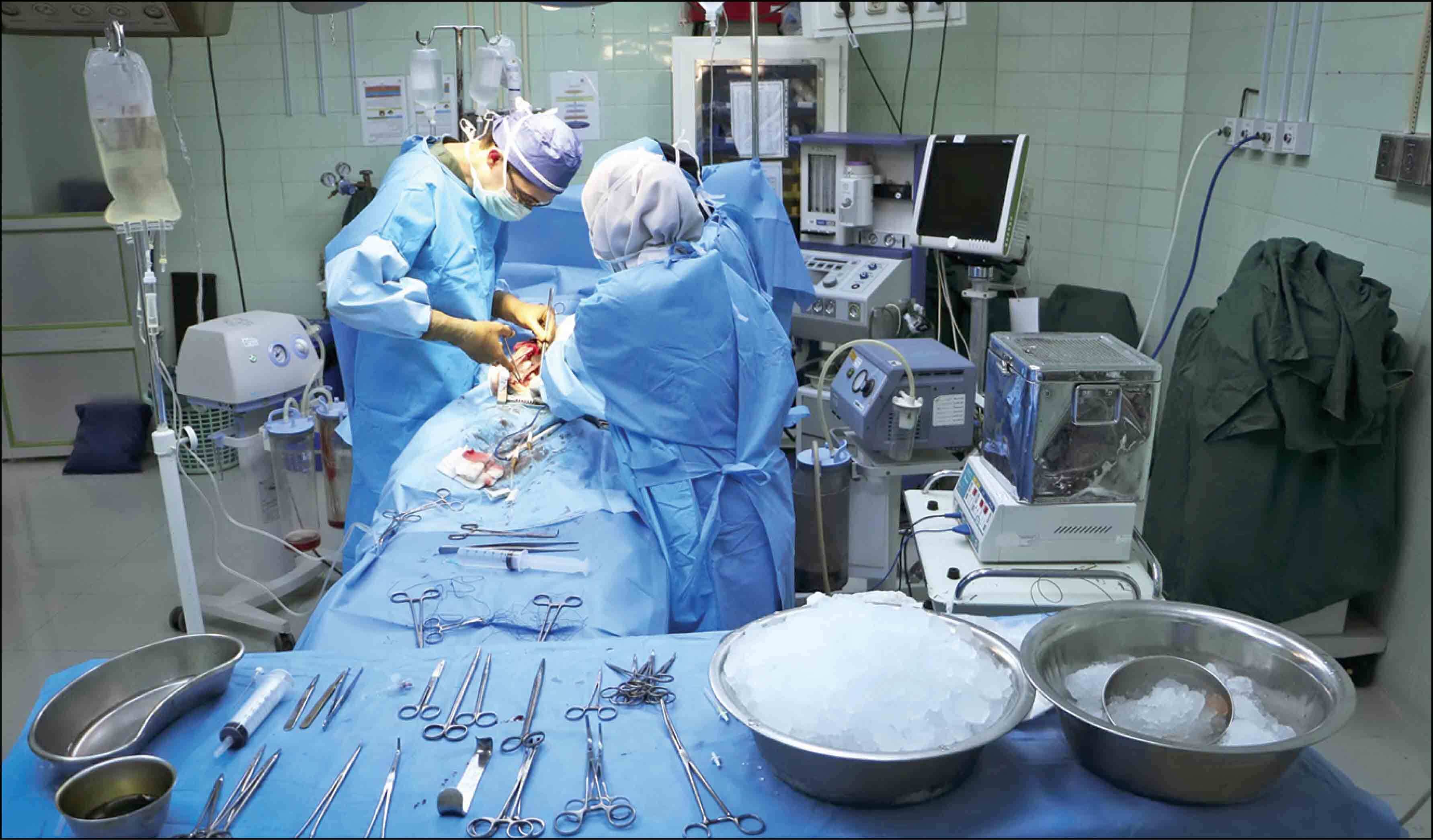 ۱۸ هزار نفر در لیست انتظار پیوند عضو هستند/ تبلیغات اهدای اعضا در فضای مجازی دروغ است