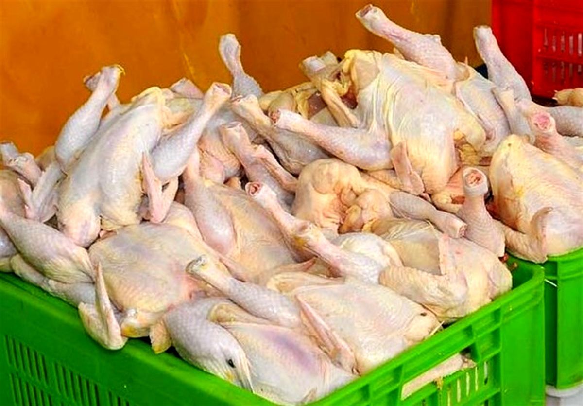 قیمت مرغ دوباره افزایش یافت