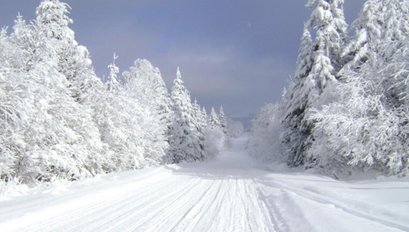 این زمستان به کجا سفر میکنید؟ این زمستان به کجا سفر میکنید؟