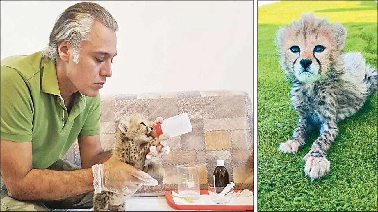 ناگفته‌های علیرضا شهرداری از مرگ پیروز