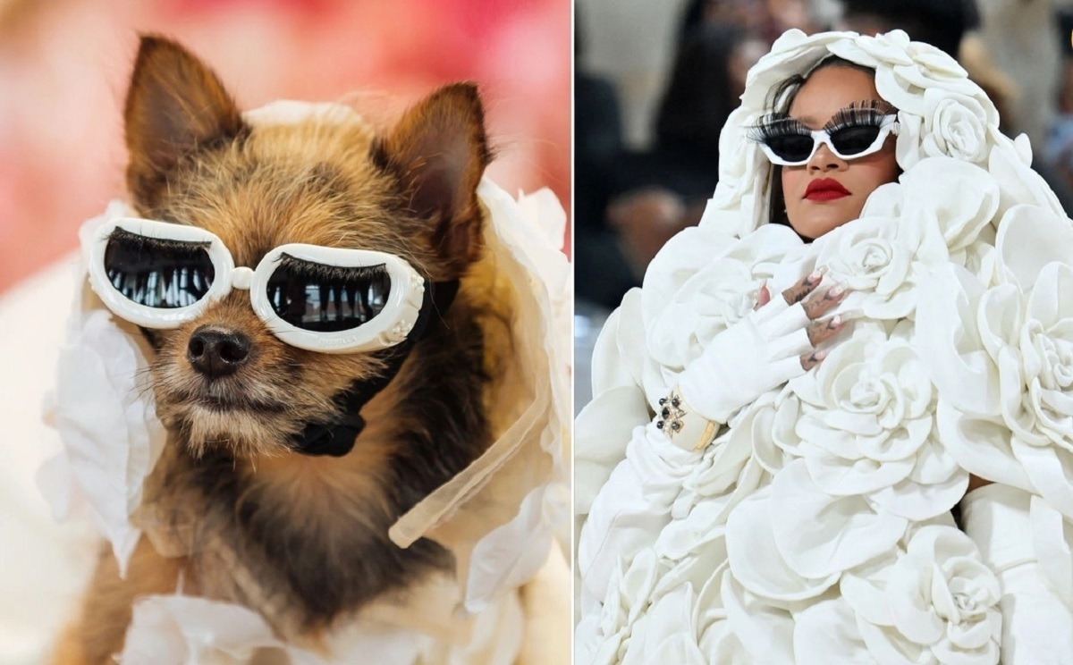 حیوانات خانگی در لباس ستارگان هالیوود