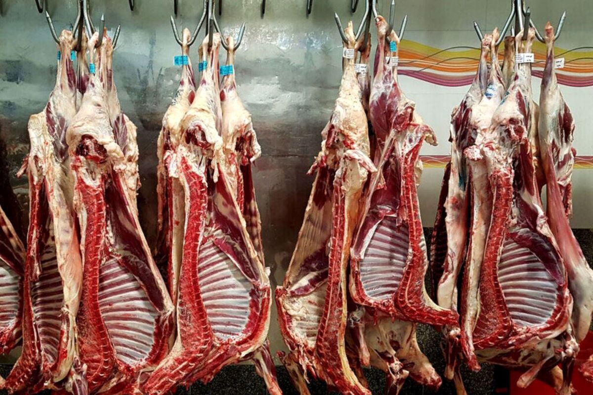 قیمت جدید گوشت قرمز امروز ۳ خرداد