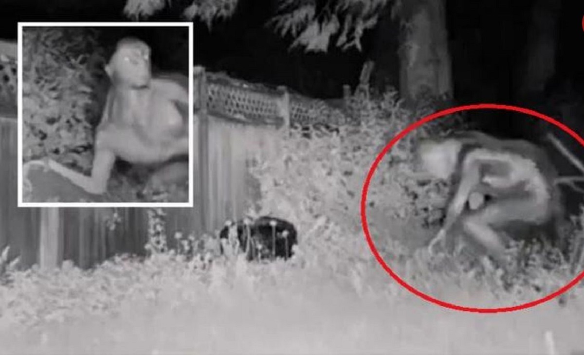 تصاویر منتشره پلیس آمریکا از جولان یک موجود بیگانه در لاس‌وگاس!