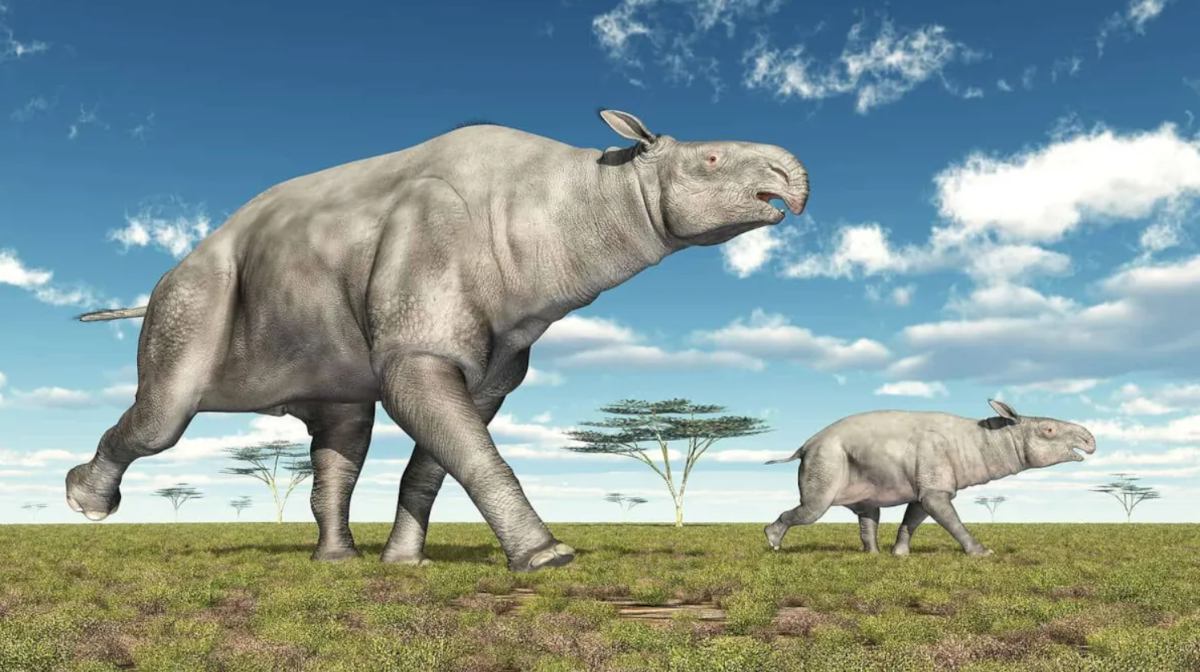 ابهت حیوانات ماقبل تاریخ