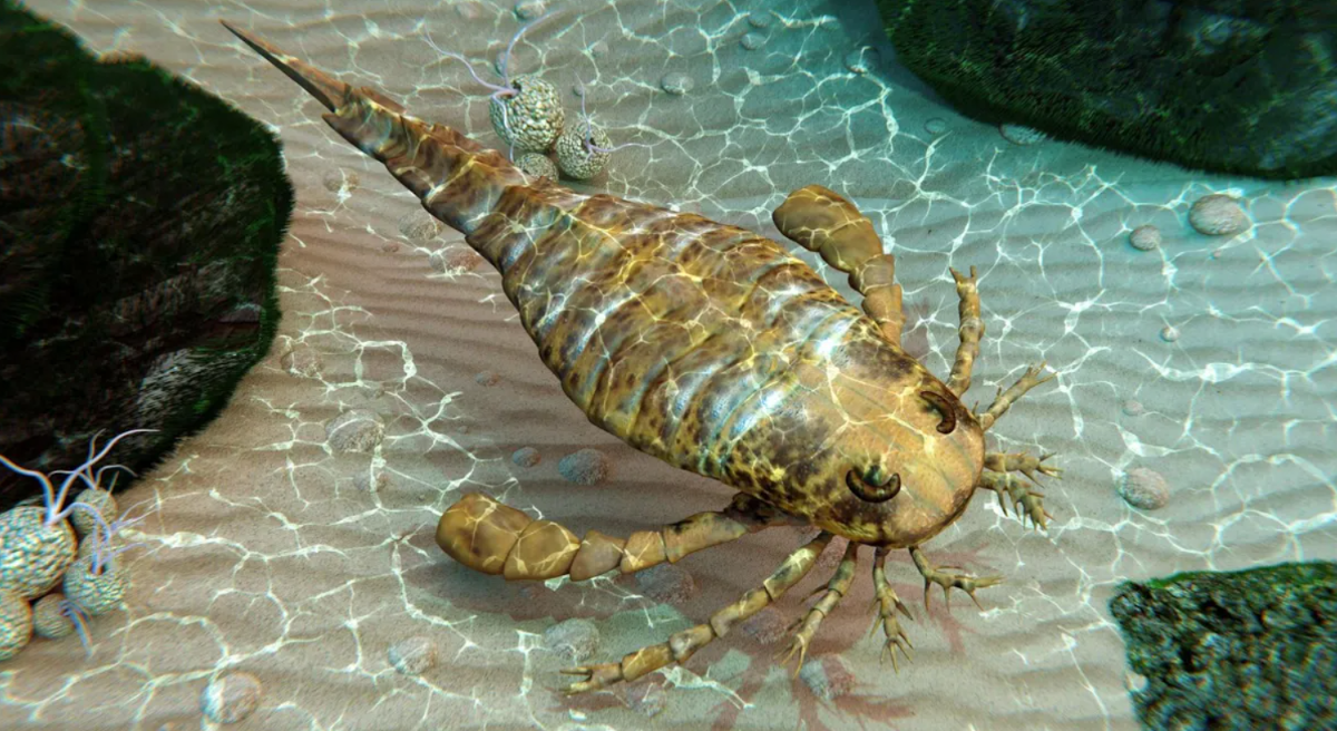 ابهت حیوانات ماقبل تاریخ