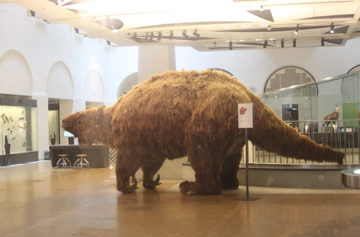 ابهت حیوانات ماقبل تاریخ