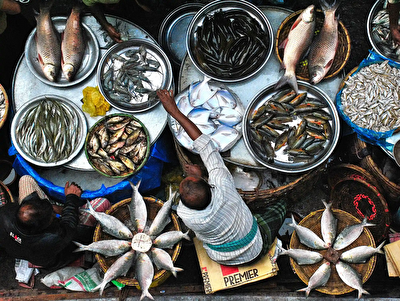 مسابقه عکاسی غذای سال