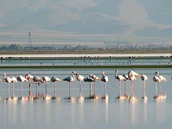 معرفی تالاب های ایران