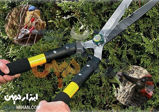 قیچی باغبانی و راهنمای انتخاب بهترین قیچی باغبانی برای شما