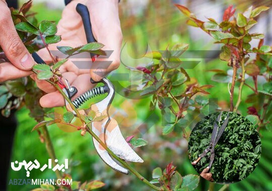 قیچی باغبانی و راهنمای انتخاب بهترین قیچی باغبانی برای شما
