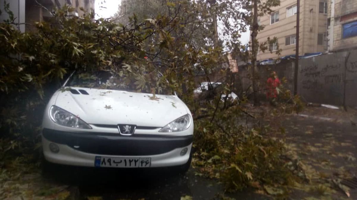 فیلم تصادف هولناک یک خودرو با عابران پیاده در شیراز