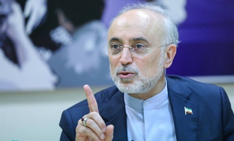 علی اکبر صالحی