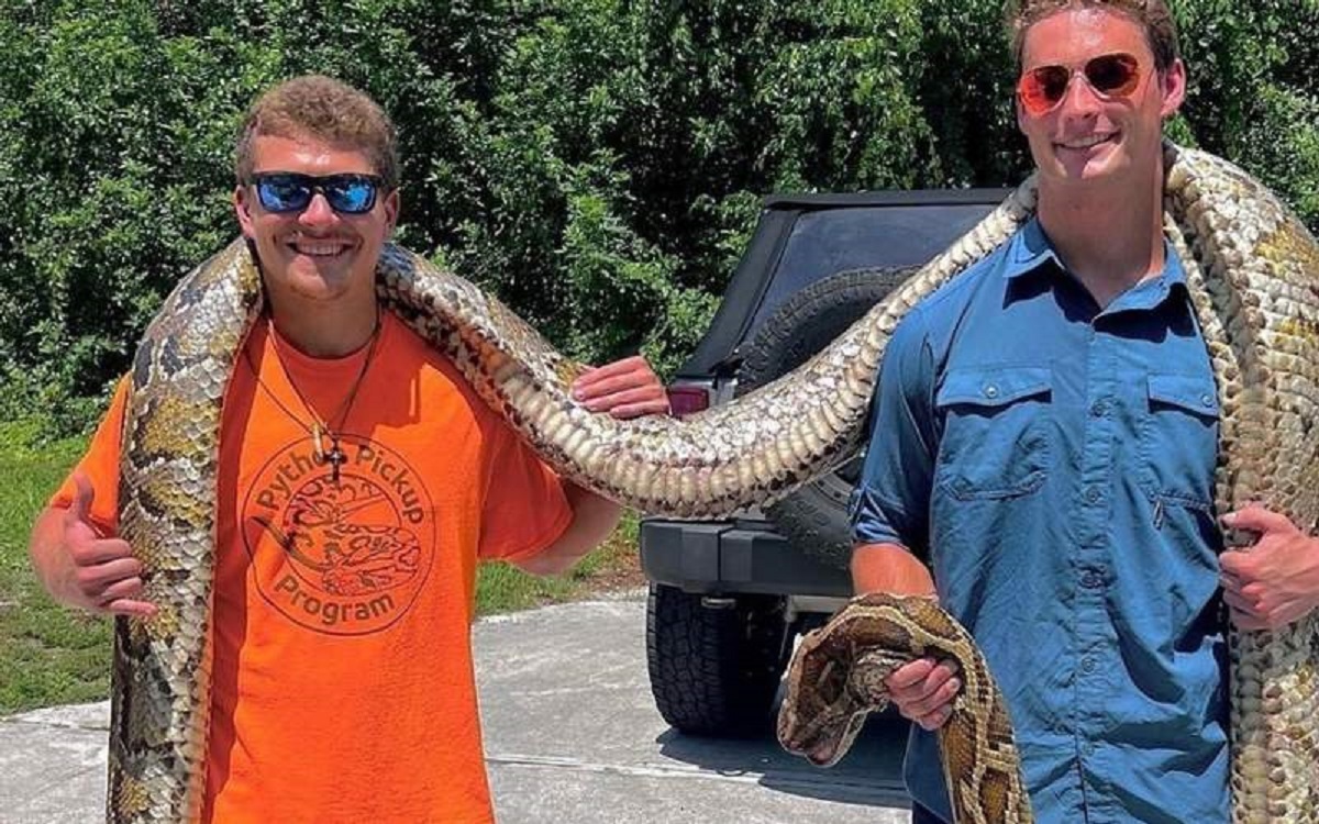 بزرگترین مار دنیا شکار شد! بزرگترین مار دنیا شکار شد!