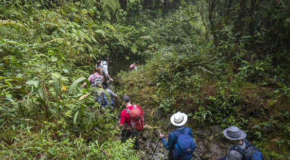 اکتیک پلتفرم کسب تجربیات جدید اکتیک پلتفرم کسب تجربیات جدید