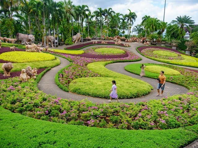 کارهای برتر در تور پاتایا و تور پوکت