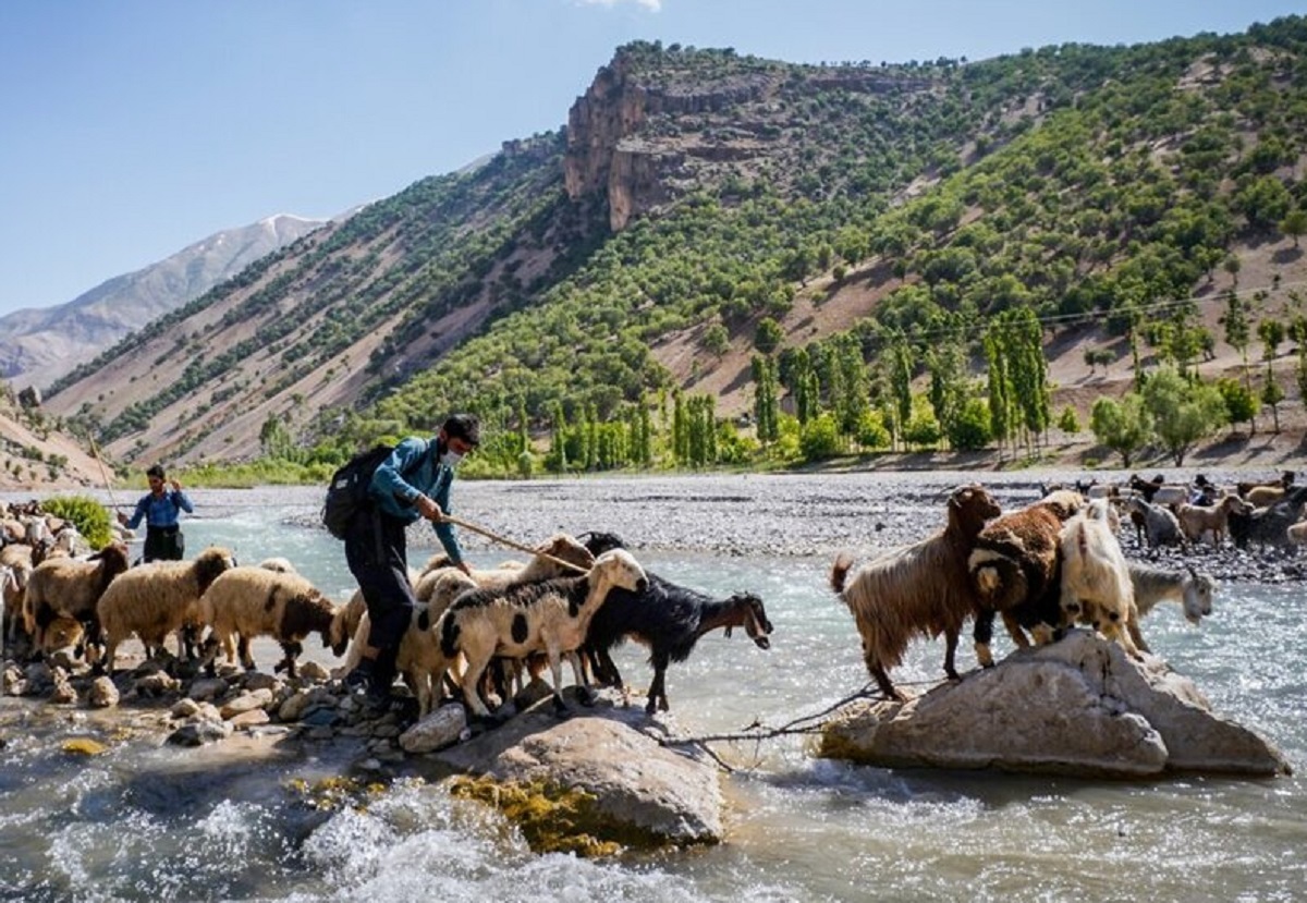 عشایر بختیاری در ییلاق عشایر بختیاری در ییلاق