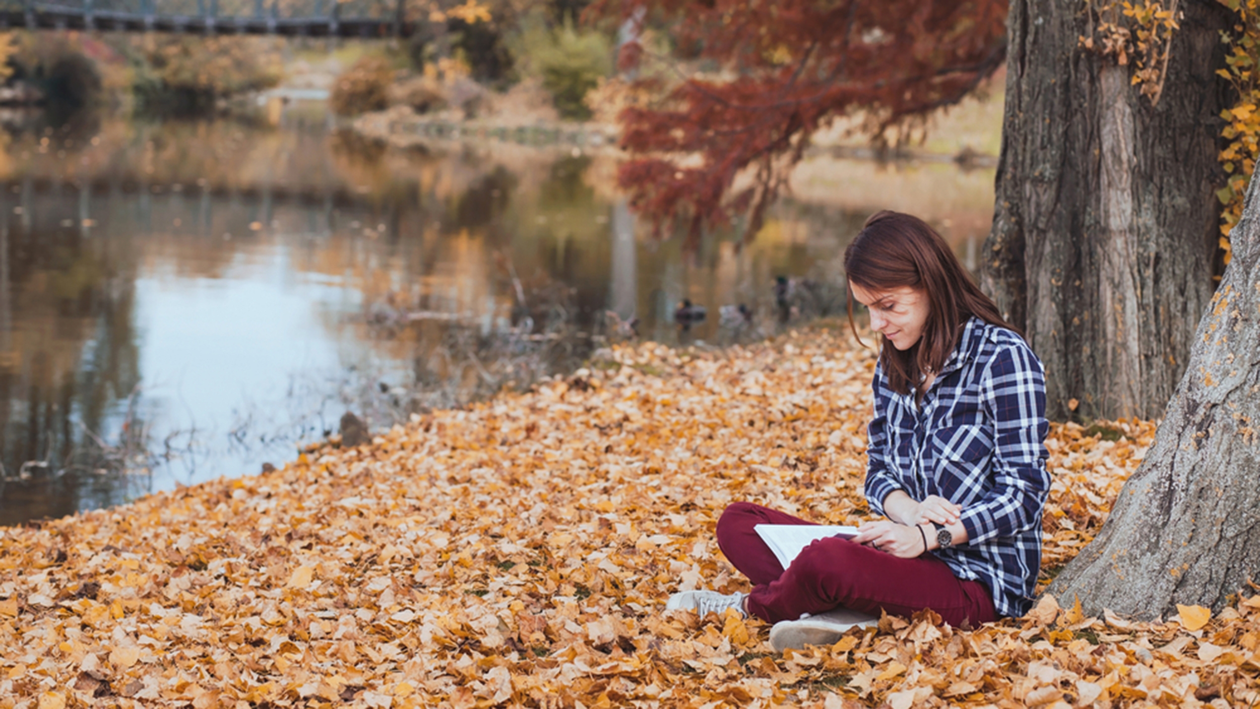 چگونه با افراد درونگرا رفتار کنیم؟ چگونه با افراد درونگرا رفتار کنیم؟