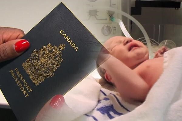 قانون خاک در کدام کشورهاست؟ قانون خاک در کدام کشورهاست؟