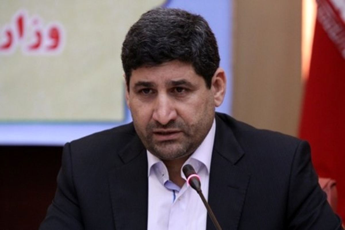 هاشمی: نگرانی‌های امنیتی و اقتصادی مانع بازگشت ایرانیان به کشور شده/ بازجویی افراد در فرودگاه خسارت‌بار است