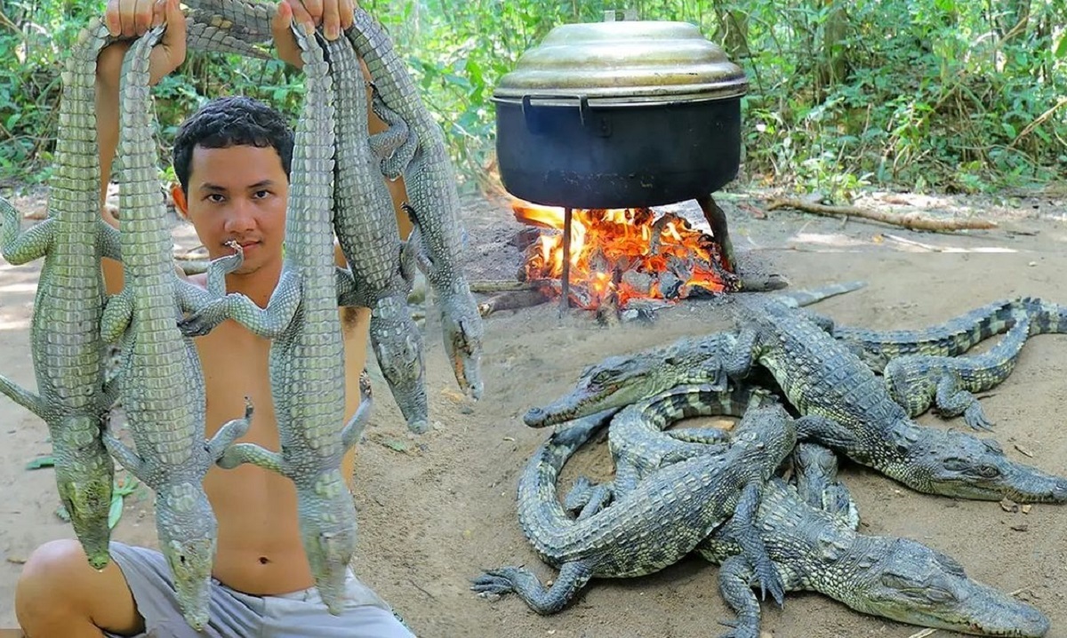 سلاخی تمساح بی نوا برای پخت غذا! سلاخی تمساح بی نوا برای پخت غذا!